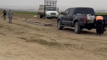 Work continued after a woman was killed in a carrot field