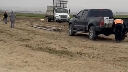 Work continued after a woman was killed in a carrot field