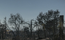 Can Communities Survive the Fires?