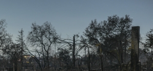 Can Communities Survive the Fires?