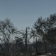 Can Communities Survive the Fires?