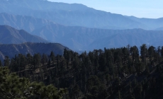 Trump rescinds ‘Roadless Rule’ that protects 58 million acres of national forests