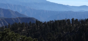 Trump rescinds ‘Roadless Rule’ that protects 58 million acres of national forests