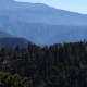 Trump rescinds ‘Roadless Rule’ that protects 58 million acres of national forests